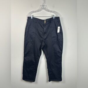 NWT Pilcro The Wanderer Relaxed-Leg Cotton Blend Pants Carbon Grey Size 34/18